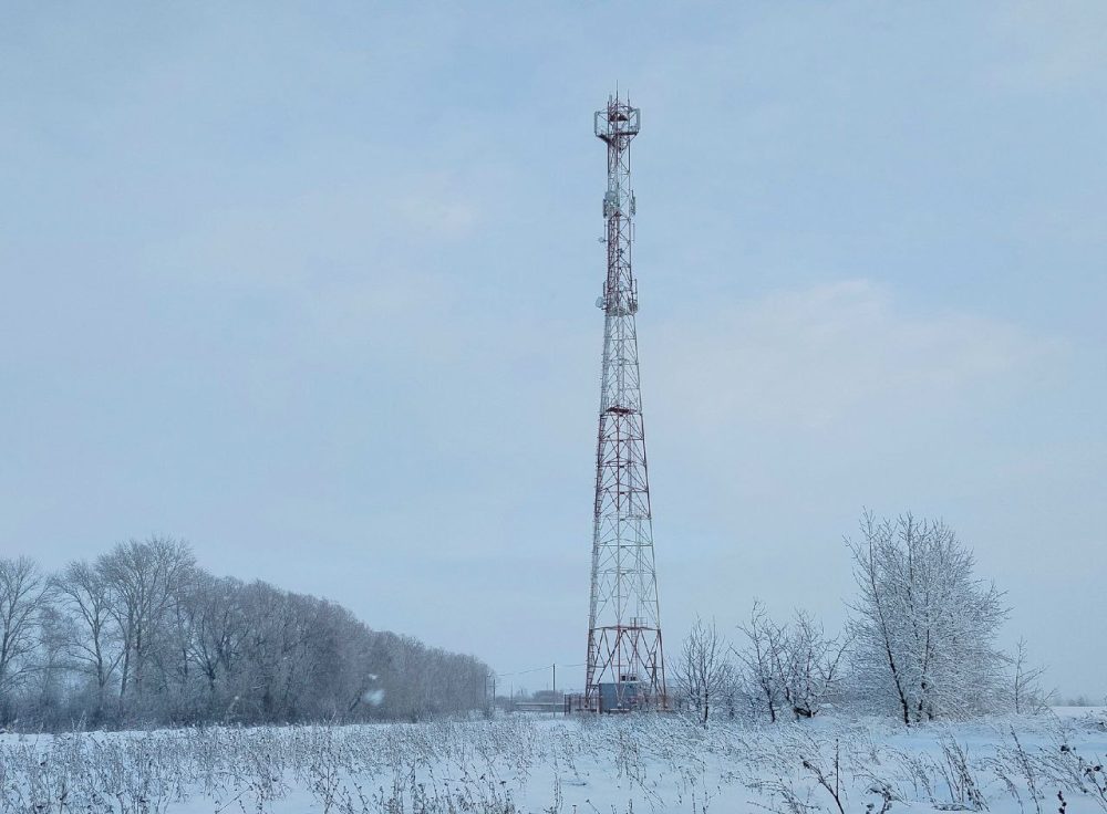 Фото: пресс-служба МТС