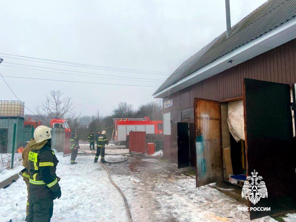 Фото: МЧС России по Тверской области