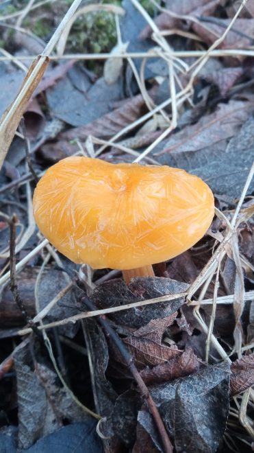 Фото: Татьяна Федорова/ 