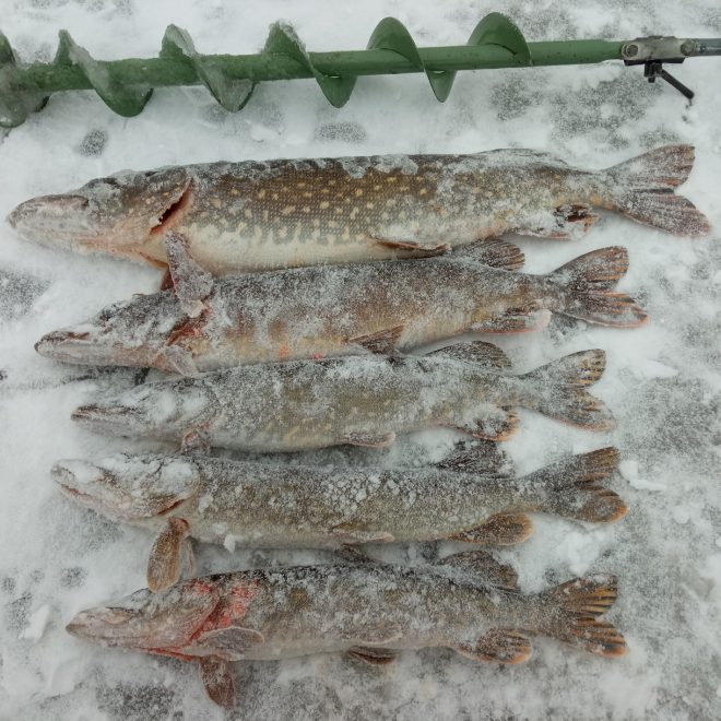 Рыболов Вышний Волочек