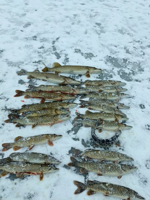 Фото: группа Вконтакте 