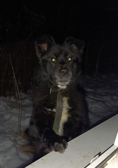 Фото: группа ВК 