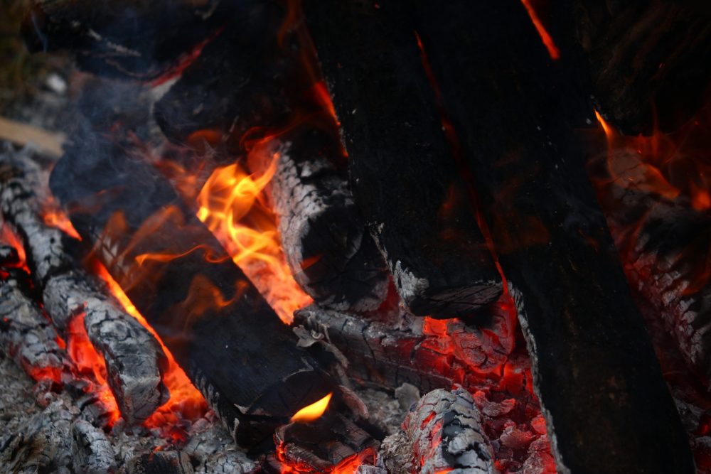 Фото: Чистякова Анастасия/РИА Верхневолжье