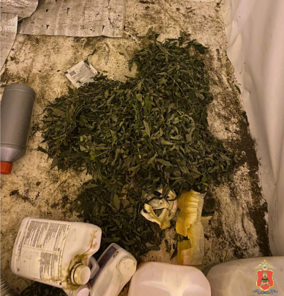 вышневолоцкий наркобарон умвд 5