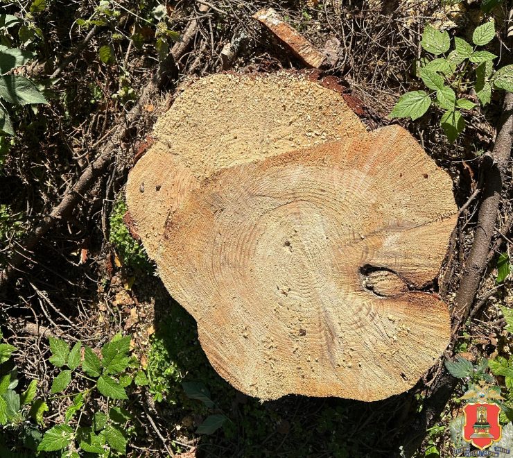 Фото: МВД России по Тверской области