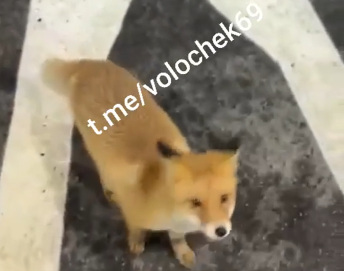 Фото: группа ВК 