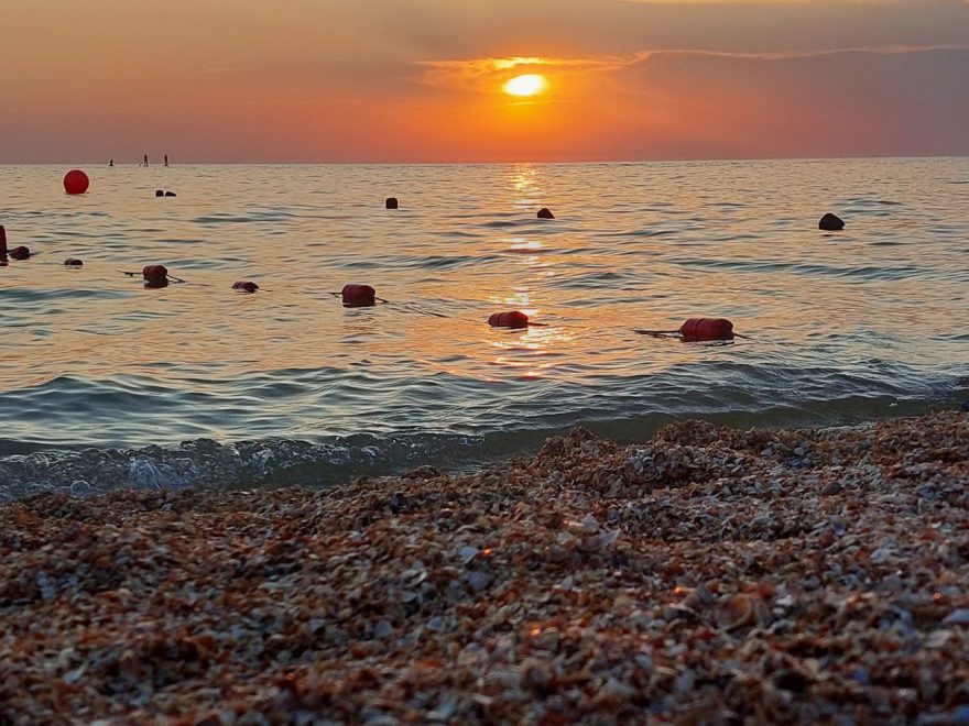 Фото: Елена Яковлева/РИА 