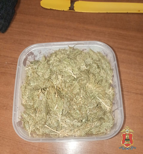 наркотики нелидово 2