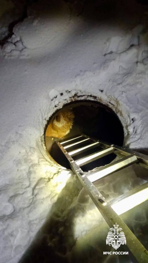 Фото: МЧС России по Тверской области