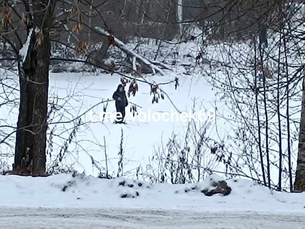 Фото: телеграм-канал 