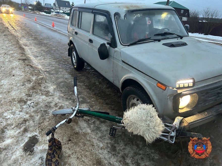Фото: региональная ГАИ