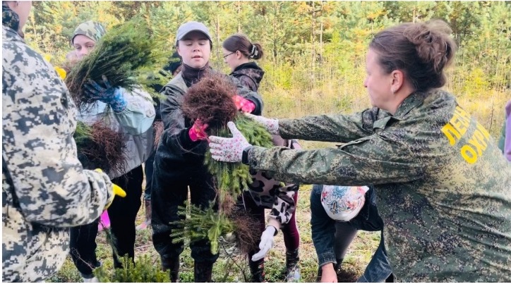 Фото: предоставлено пресс-службой ПТО