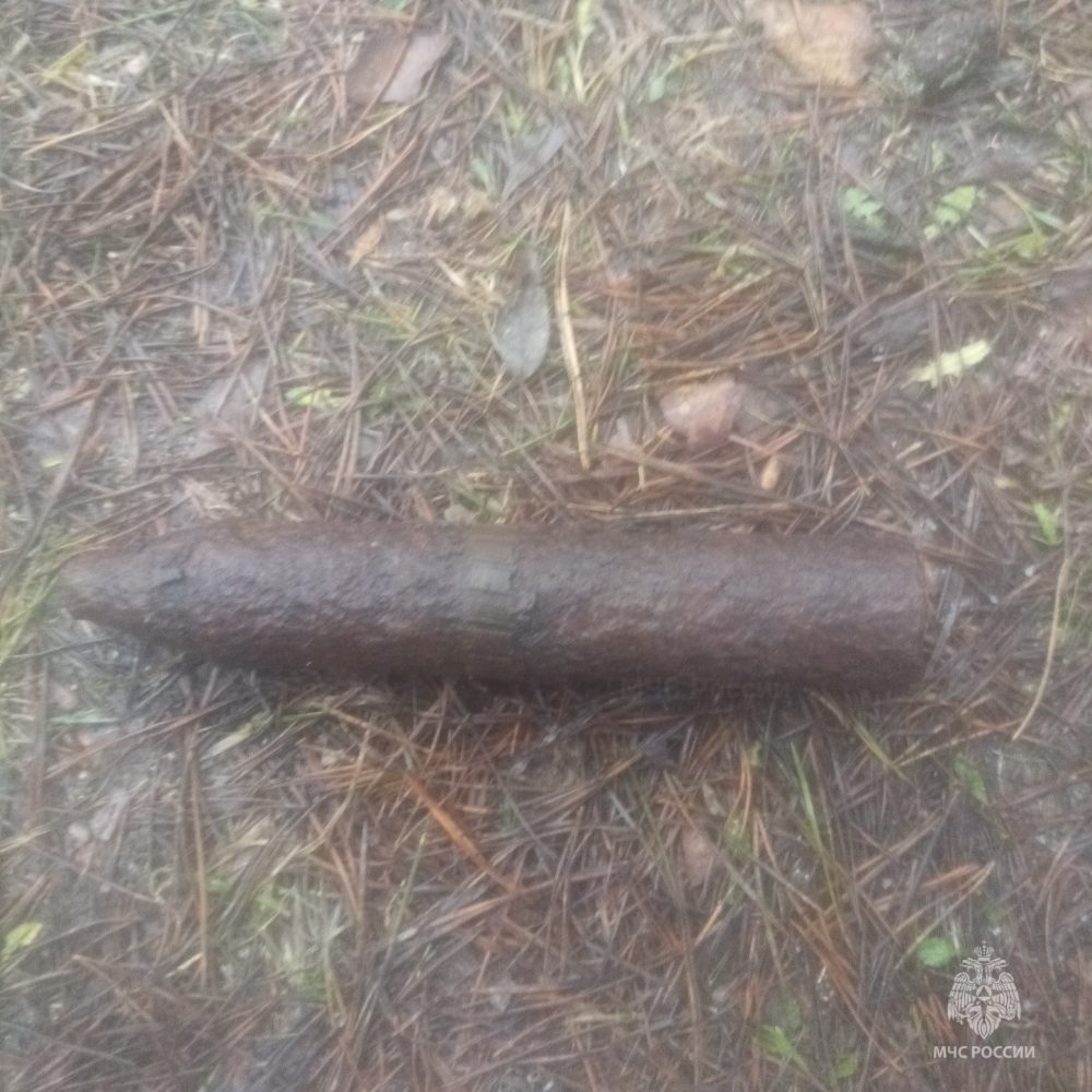 Фото: МЧС России по Тверской области