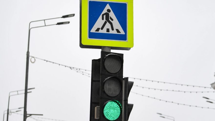 5202217401876343210 121