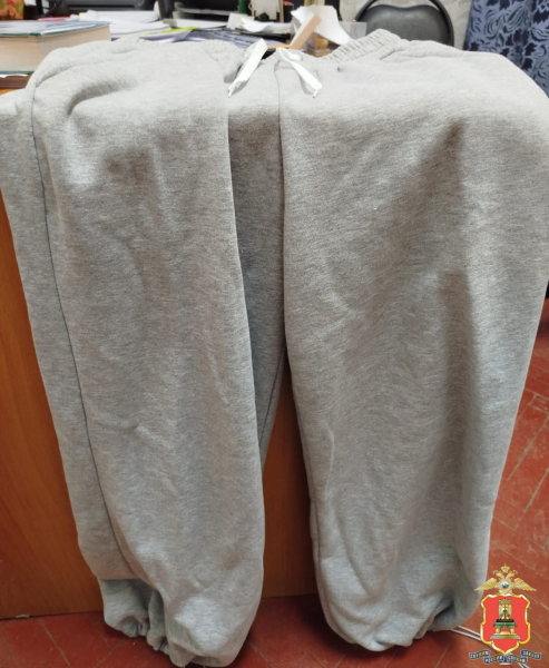 кража, бежецк