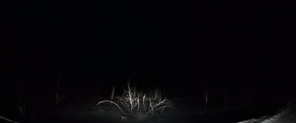 Фото: Виталий Грачёв/ВК-сообщество 