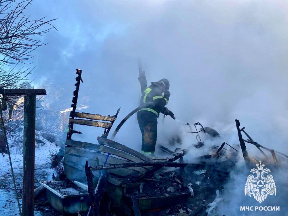 Фото: МЧС России по Тверской области