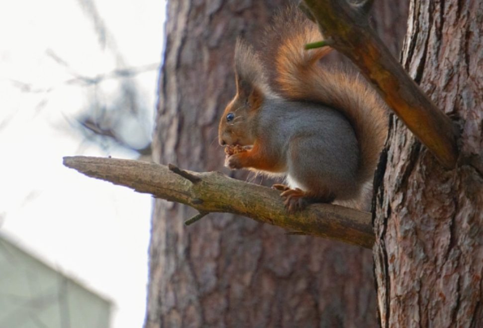 Фото: Яна Павлова/ группа 