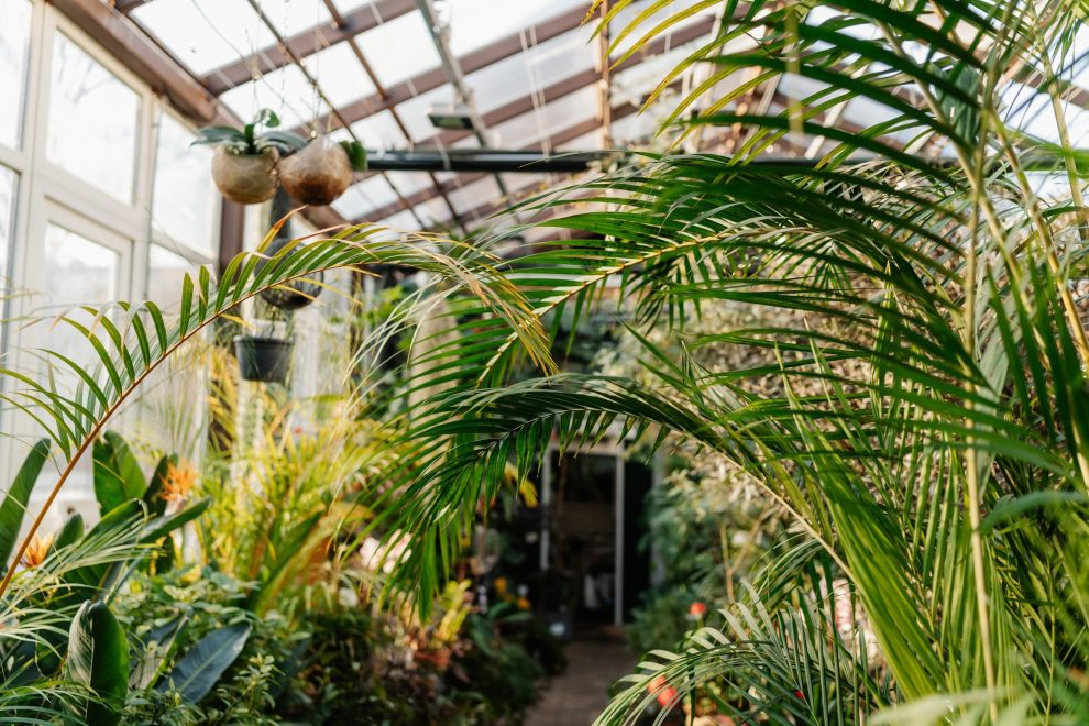 Ботанический сад