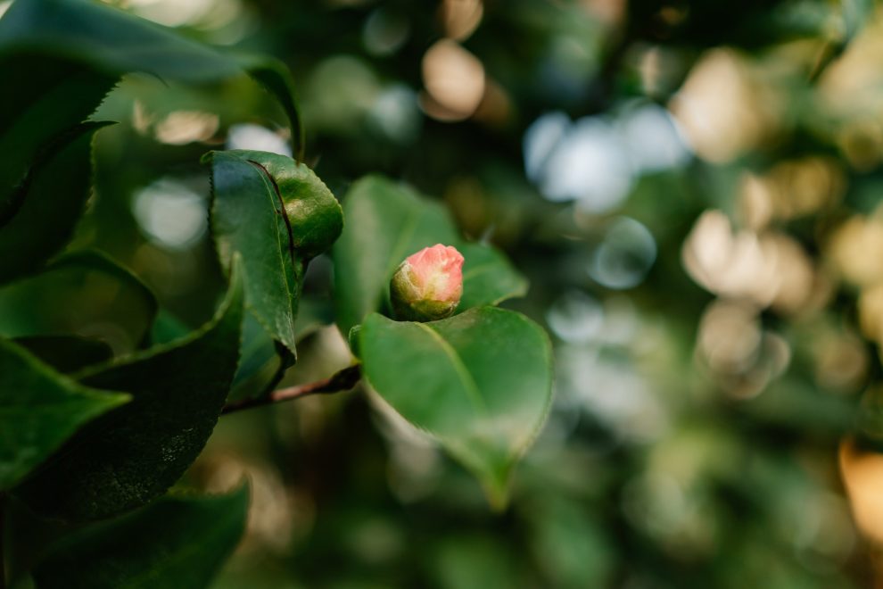 Фото: Школьников Максим / РИА Верхневолжье