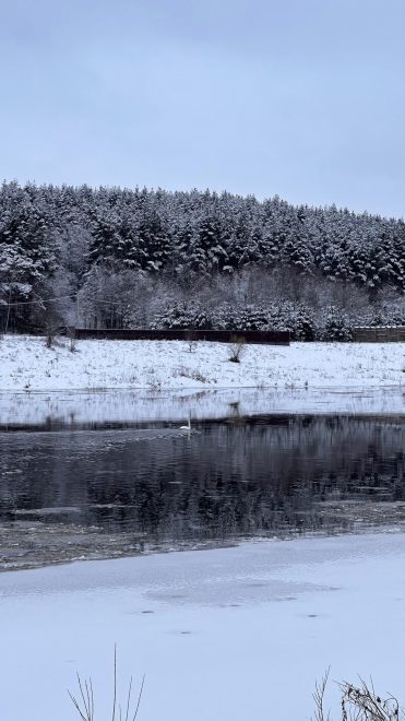 Фото: Юю Полякова\ группа 