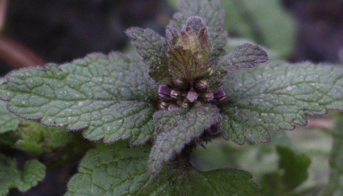 Фото: Светлана Рысенкова/ группа 