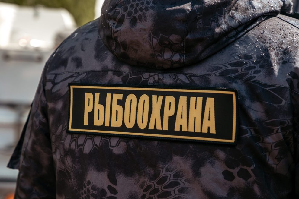 Фото: Кристина Белякова/РИА Верхневолжье