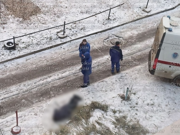 Фото: телеграм-канал 