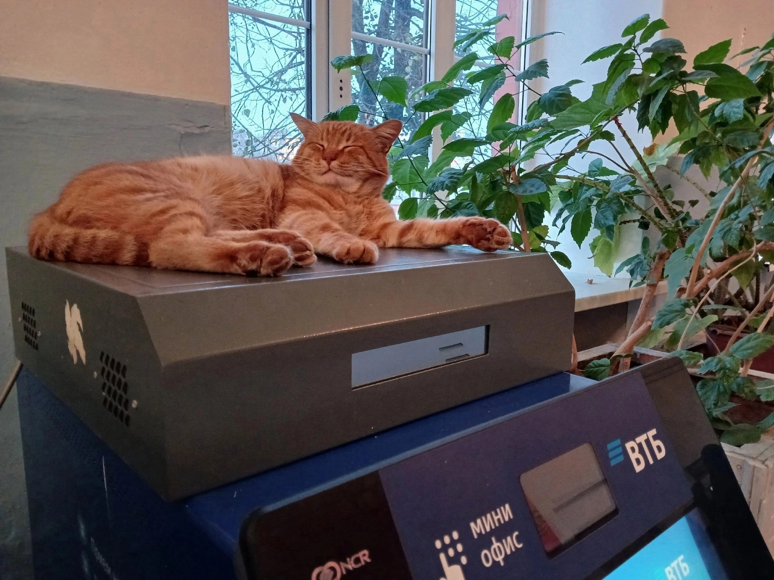 Фото: Вышний Волочёк - говорим и показываем