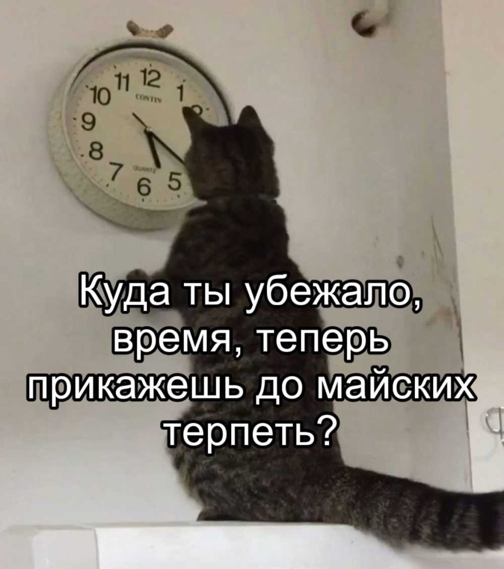 мем про работу 5