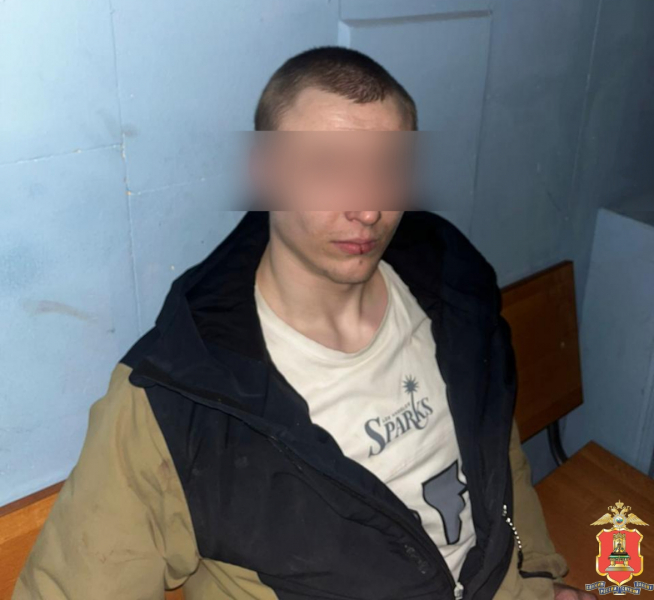 рецидивисты полиция 1