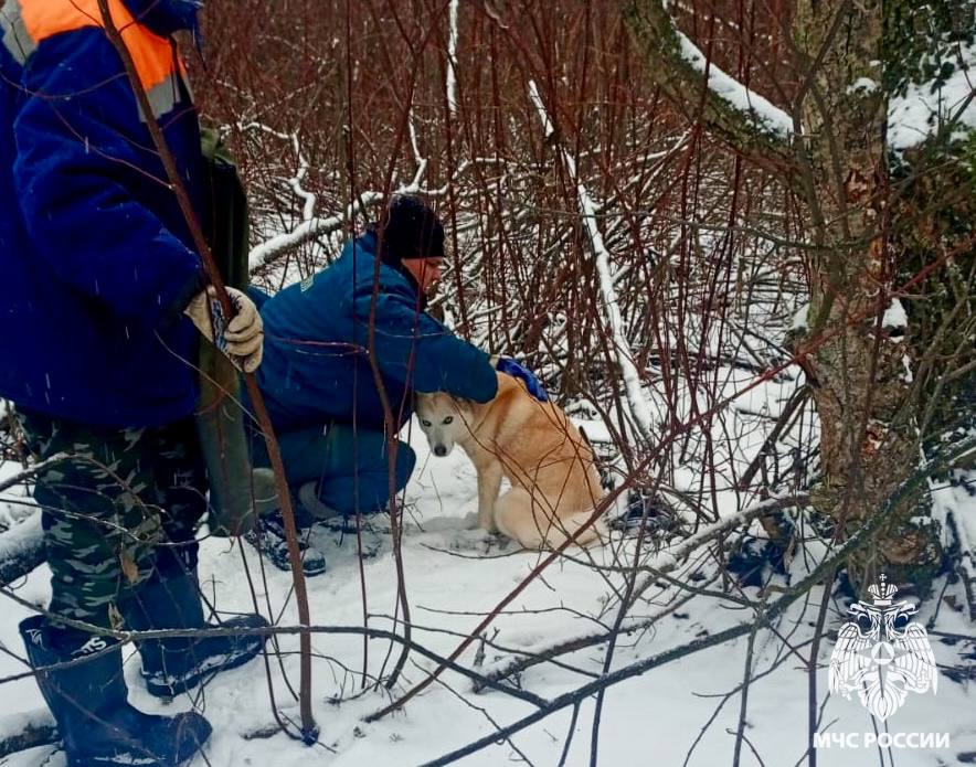 Фото: ГУ МЧС России по Тверской области