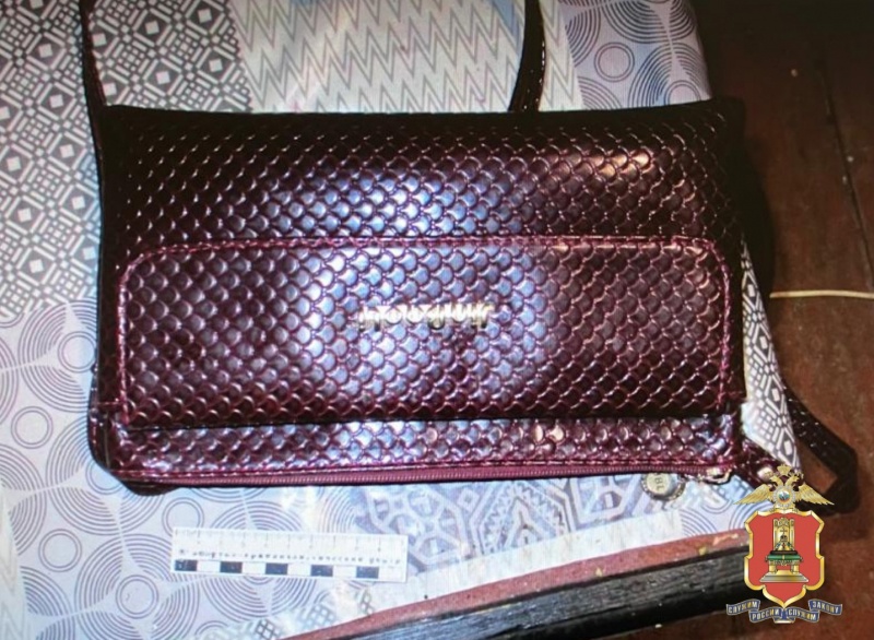 сумка пенсионерки умвд вышний волочек