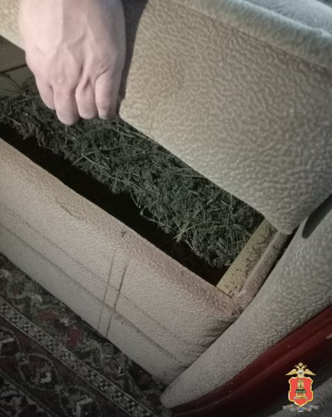 марихуана, кимры