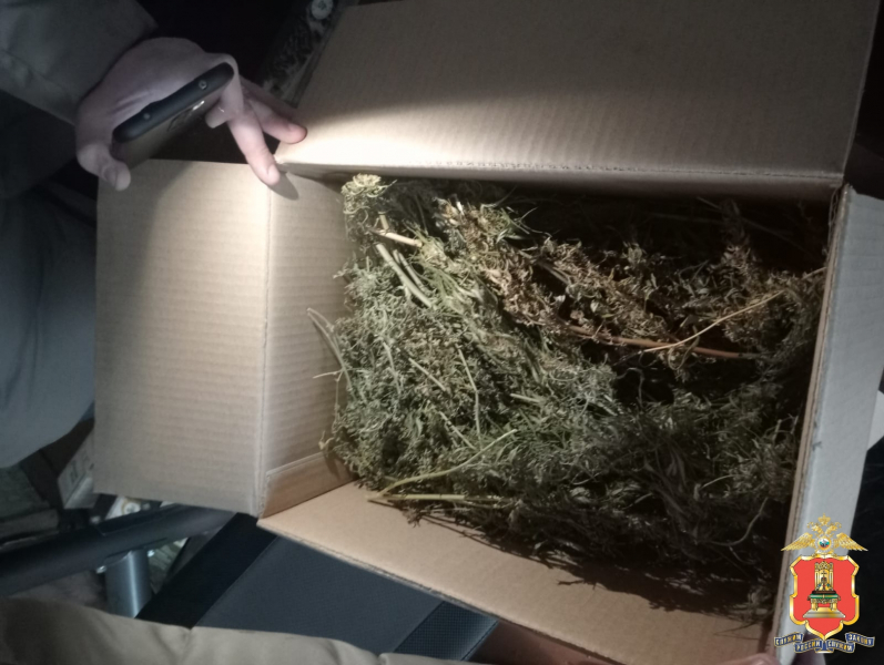 марихуана, кимры