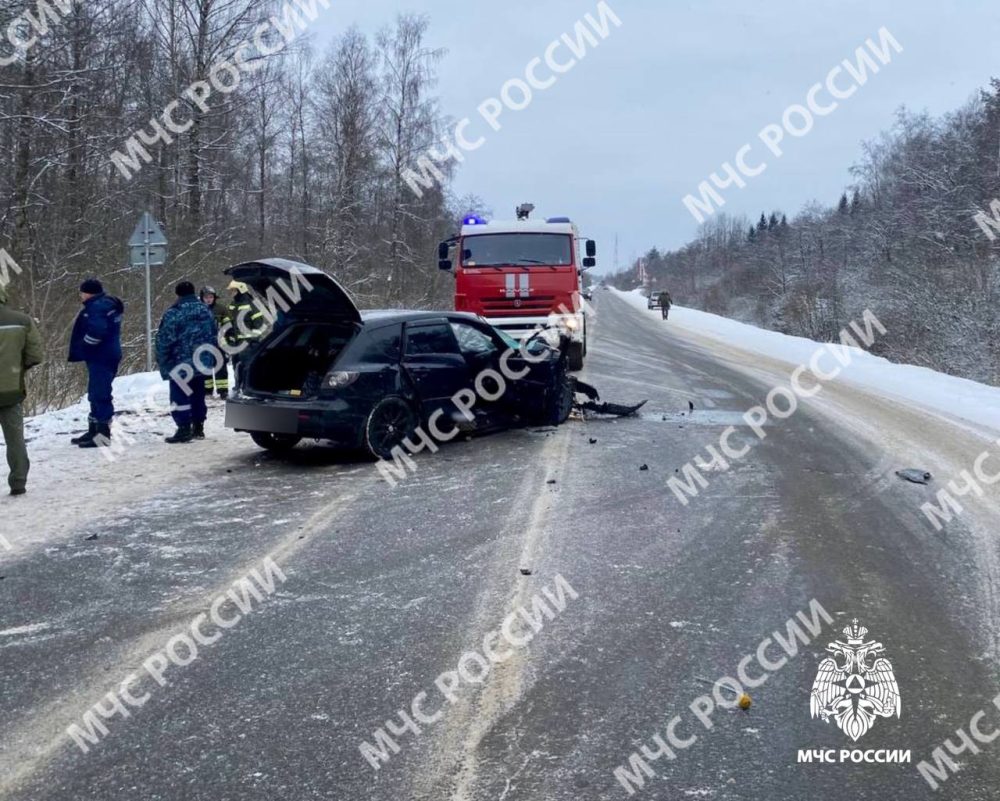 Фото: МЧС России по Тверской области