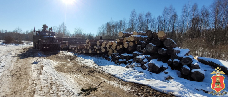 Фото: пресс-служба регионального УМВД