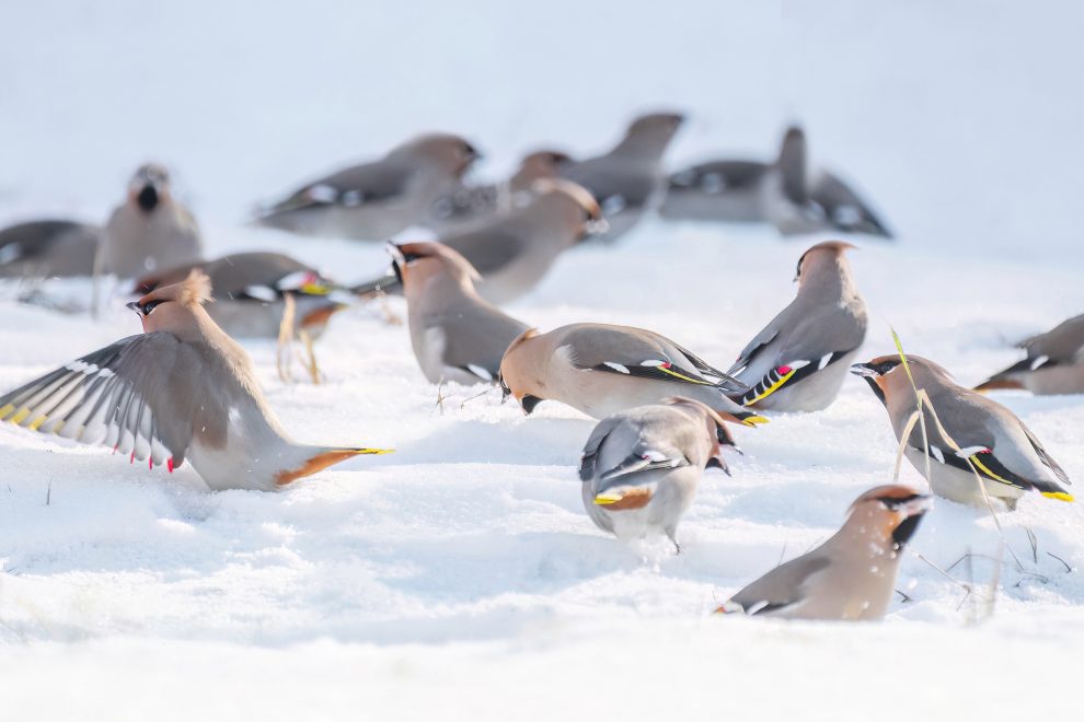 Фото: Анна Мостовая\ группа 