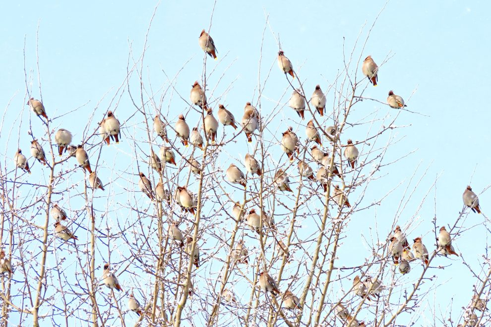 Фото: Наталья Шило/группа 