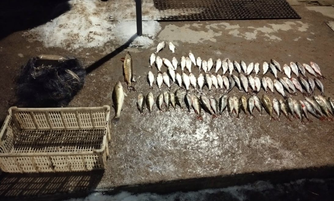 Фото: пресс-служба регионального линейного отдела МВД России на транспорте