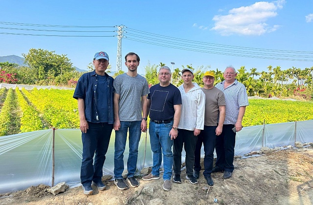 китай, лён (1)