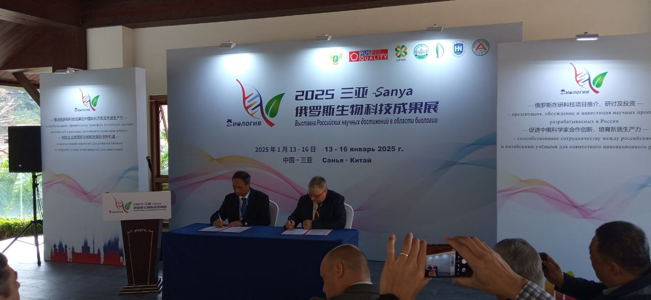 китай, лён (2)