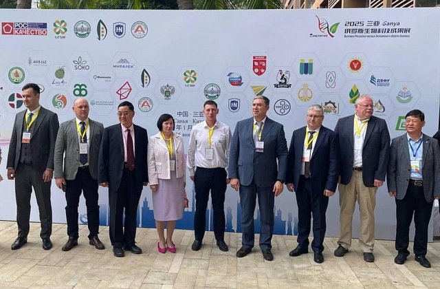 китай, лён (3)