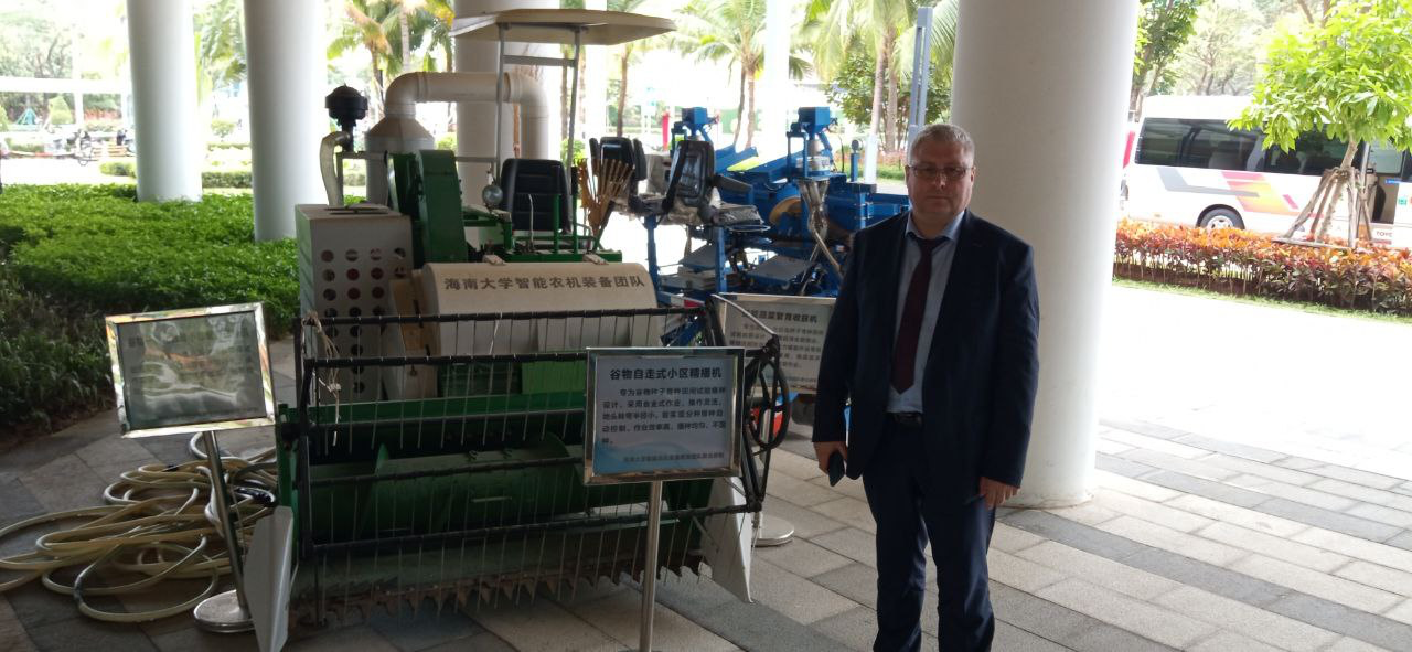 китай, лён (3)