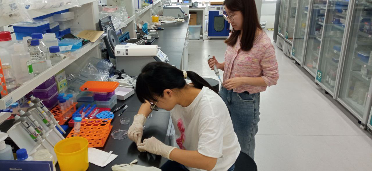 китай, лён (5)