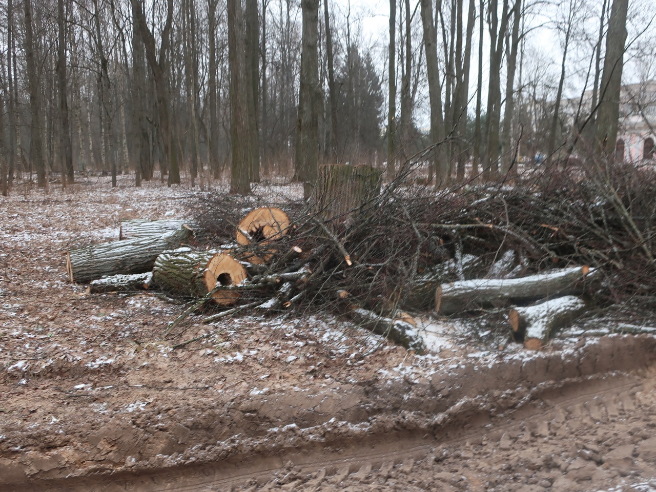 Фото: Вадим Рыбаков/ВК-сообщество 