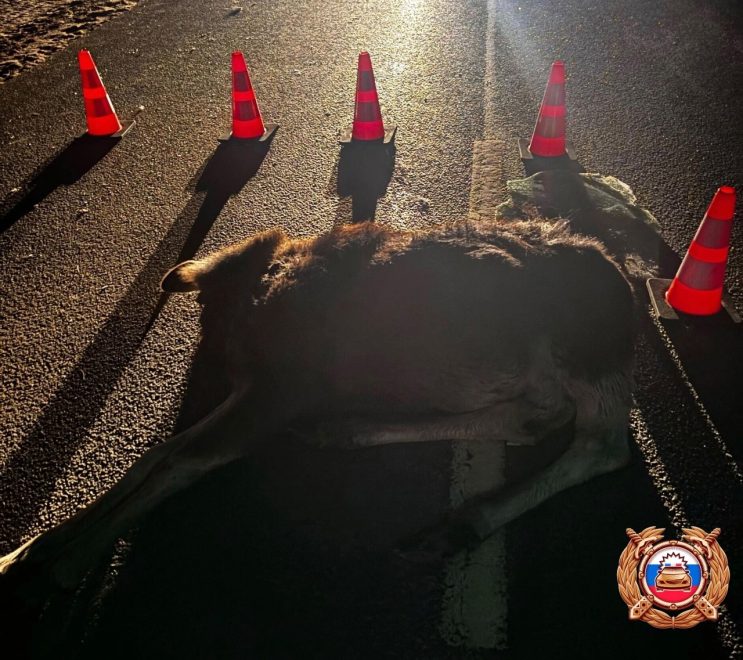 Фото: ГАИ Тверской области