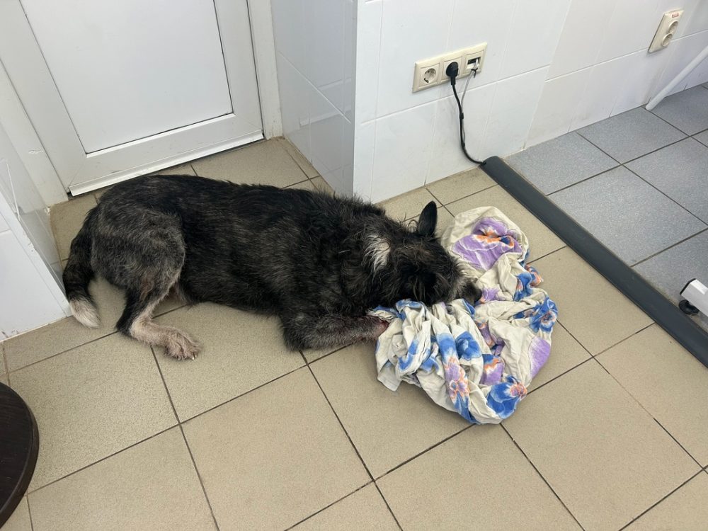 Фото: ВК-сообщество 