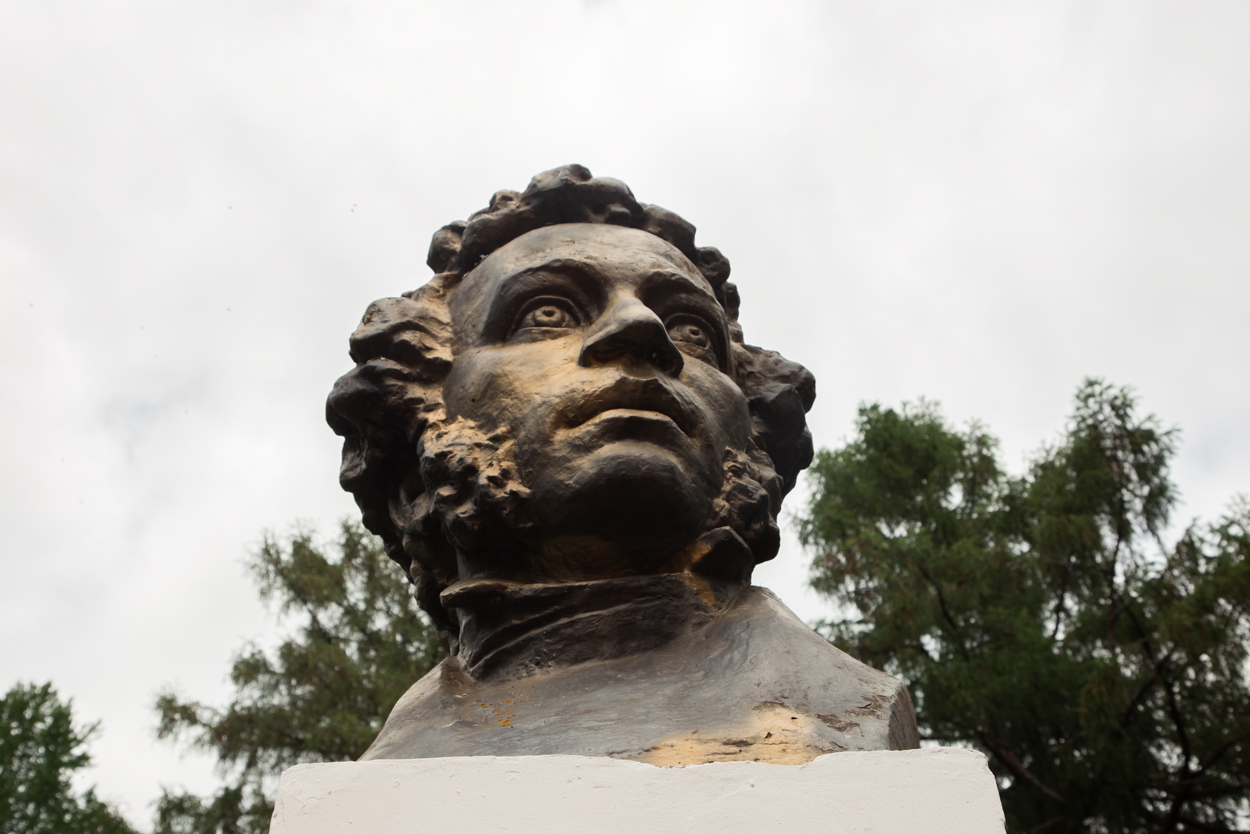 пушкин, бюст