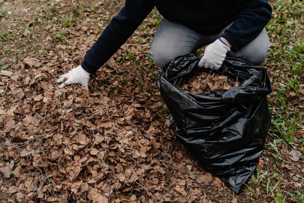 Фото: Максим Школьников/РИА Верхневолжье